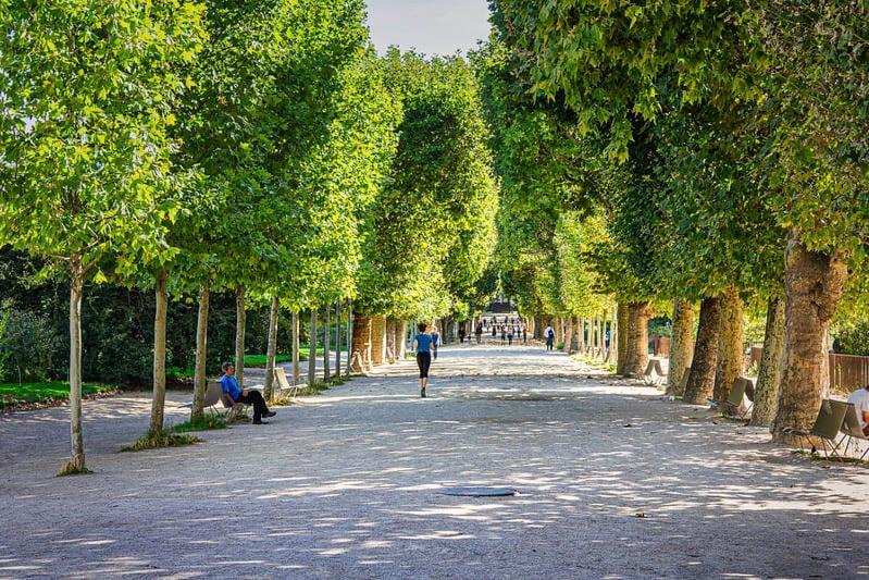 Apartment 406- Spacieux Face Jardins Des Plantes